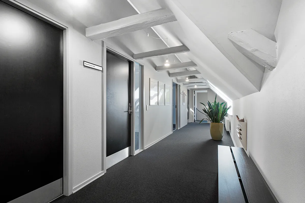 Kontorhuse med lyse lofter og lysekroner. Pladserne er fordelt med plantepotter og vægmonterede hylder. Farver som sort og