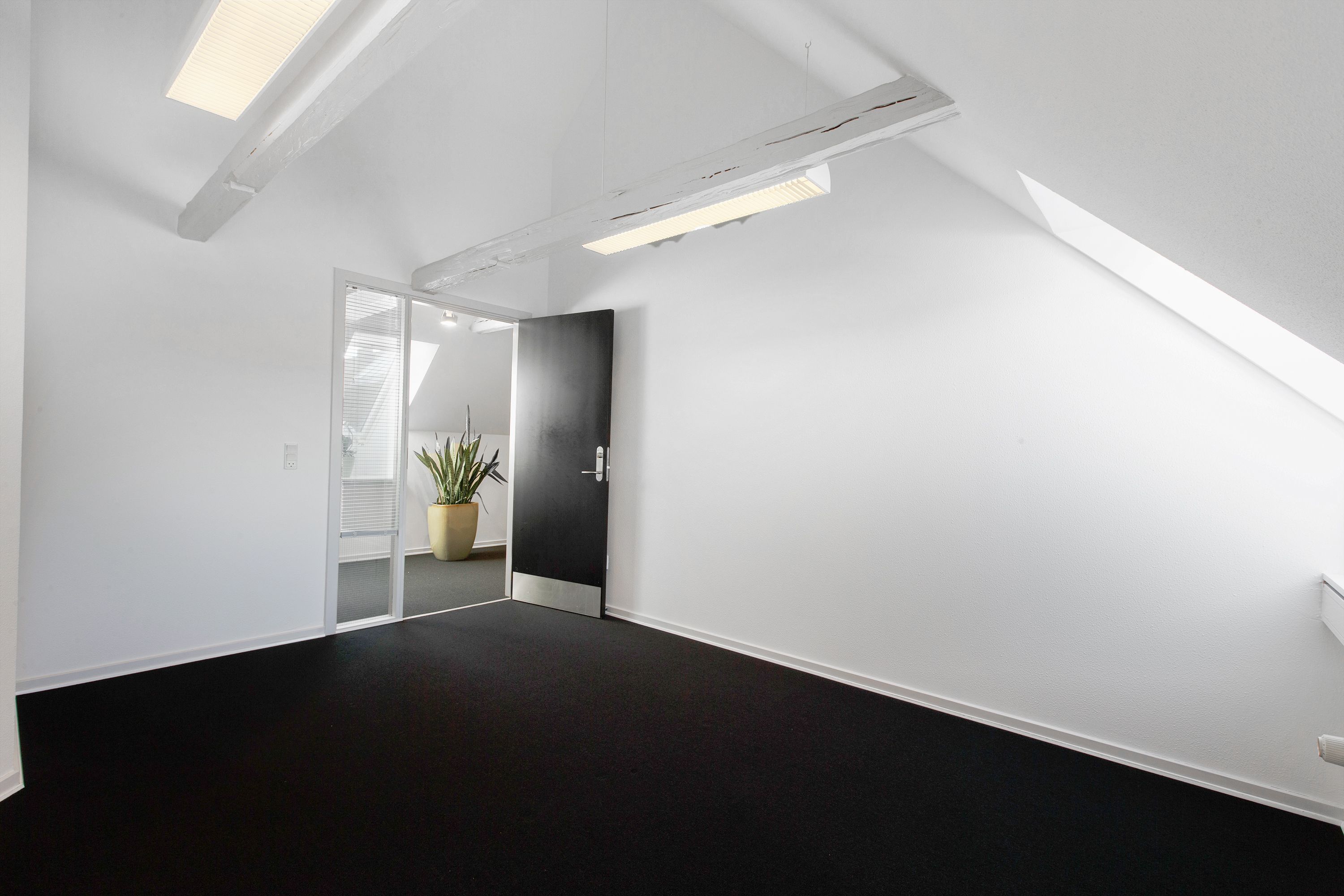 Tomt kontor med hvide vægge og sort gulv samt et enkelt stående plante i gul jordstativ ved døren og loftsvinduer med