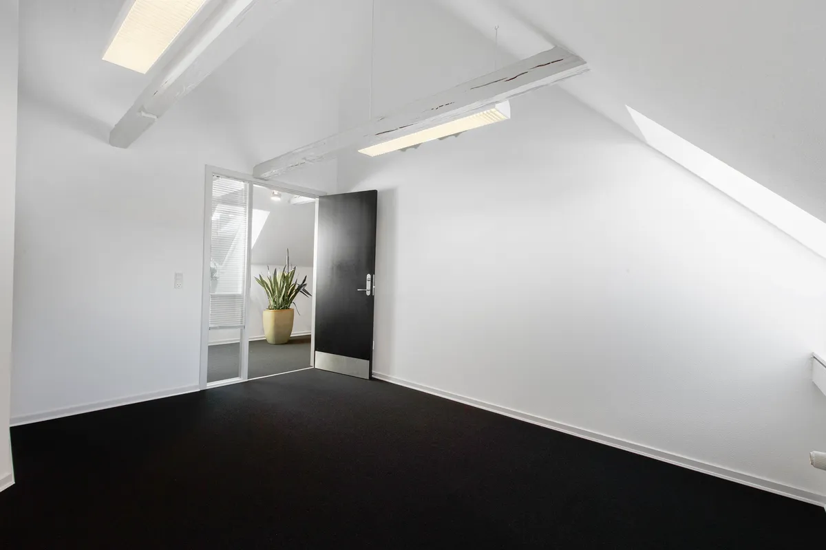 Tomt kontor med hvide vægge og sort gulv samt et enkelt stående plante i gul jordstativ ved døren og loftsvinduer med