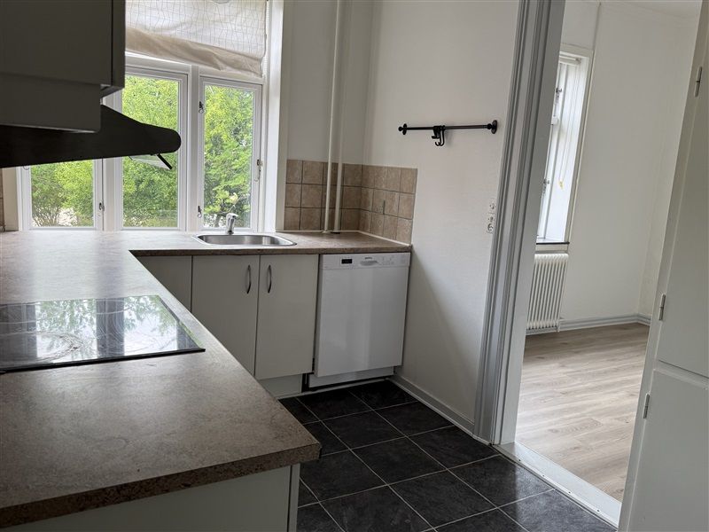 Et moderne køkken med en sølvfarvet ovn, en enkelt vask og et hvidt køleskab samt to vinduer med en grøn have udenfor