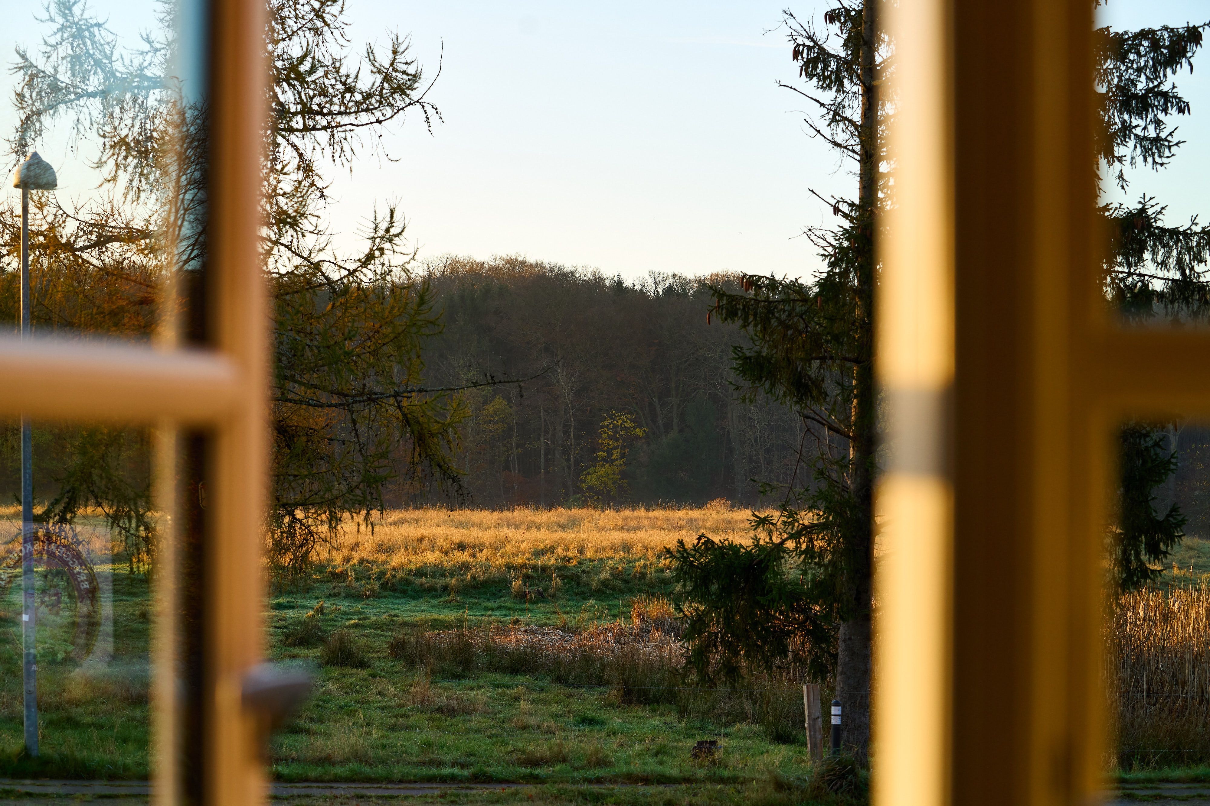 Udsigt fra vindue til grønt græs og træer, med solskin og lyse skyer på himlen.