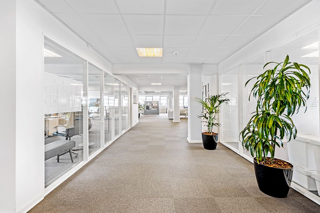 Et moderne kontor med hvide vægge, gulvbelægning, store ruder, to potteplanter og et gult lys på loftet