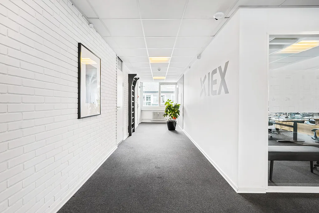 Det er en smal korridor med hvide vægge, gulv og loft. Der er en række kontorer med glasdøre og vinduer. Der er en plante i