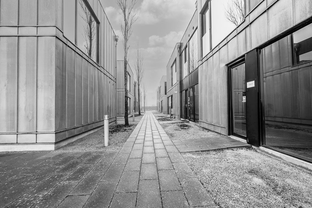 En lang, bred vej mellem to bygninger med glasruder og høje, hvide vægge. Vejen er tør, og der er et træ udenfor højre