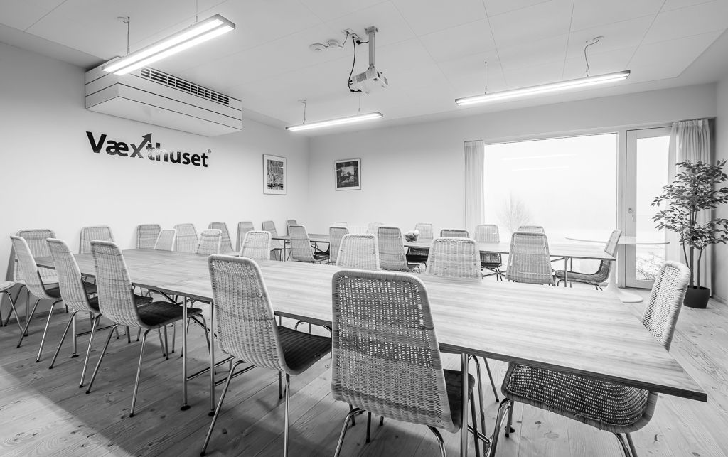 En stor konferencesal med lange træborde og stole i rattanstil samt plante og vinduer med gardiner