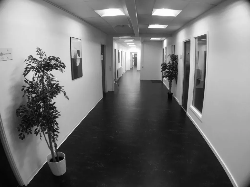 Langt og mørkt korridor med hvide vægge og sort gulv, to store kunstige planter og lyse gulve i enden