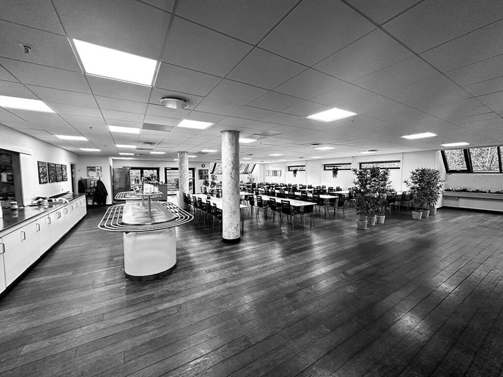 Et tomt og lyskalet lokale med bord og stole, og to plantepotter samt en købrætter