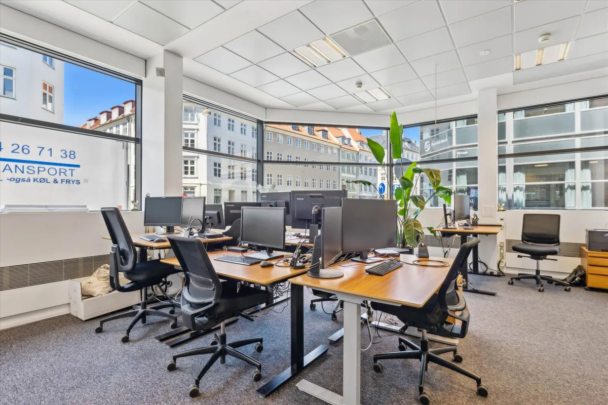 Kontor med moderne skriveborde, computere, og større planter i hjertet af København med vinduer med udsigt til byen