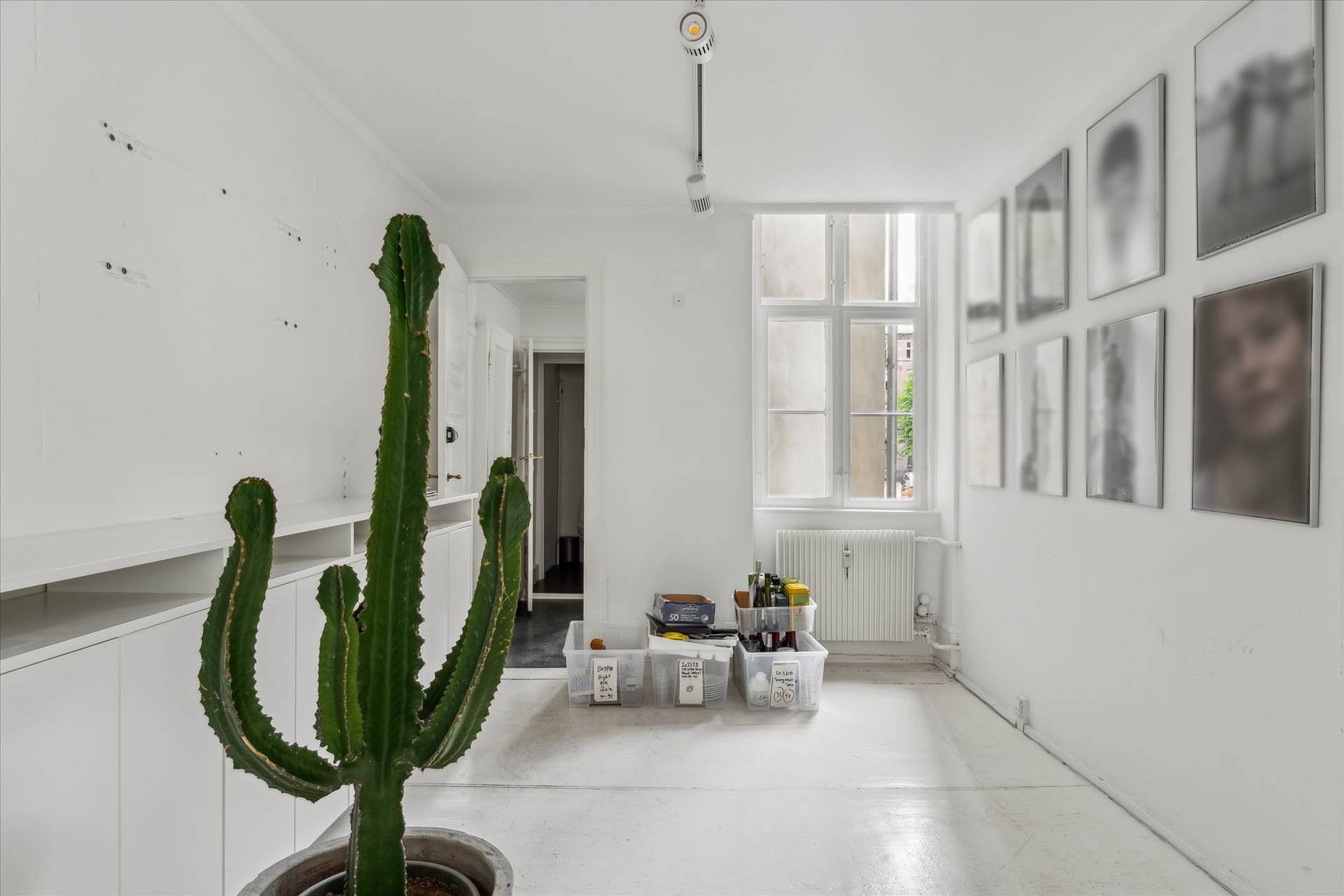 Foto af en ren og minimalistisk indretning med en stor grøn kaktus, små plastbeholdere og nogle kunstværker på væggen