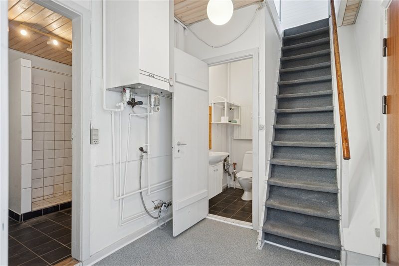 En hvid toilet med toiletpapirholder, der er anbragt på væggen, samt et trin med gulvtæppe og en stige med håndtag