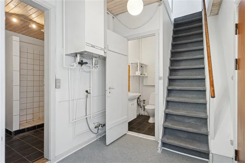 En hvid toilet med toiletpapirholder, der er anbragt på væggen, samt et trin med gulvtæppe og en stige med håndtag