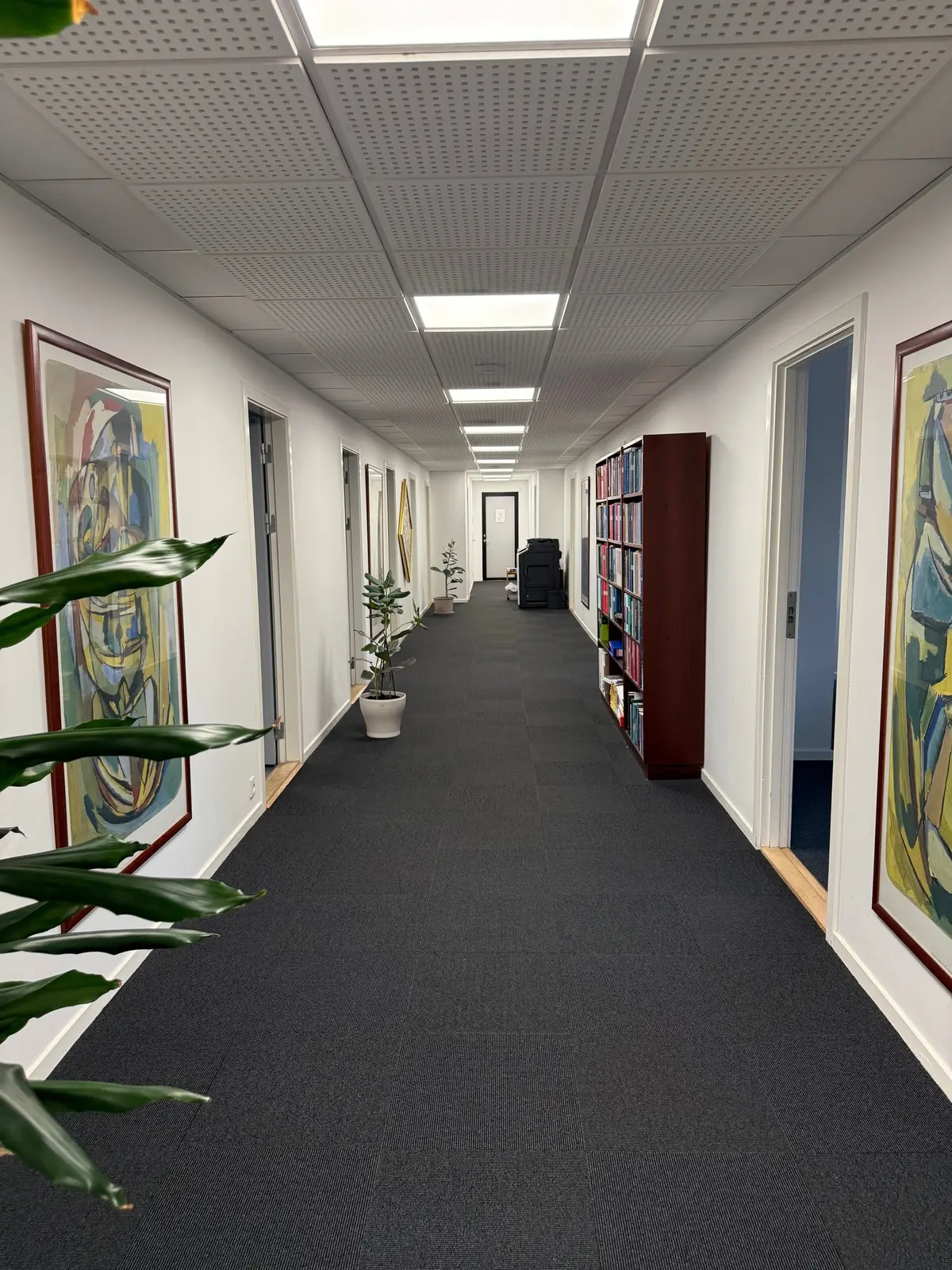 En hall i et kontor med hvide vægge, højt loft og lysepunkter, kunstværker og en række planter og bøger