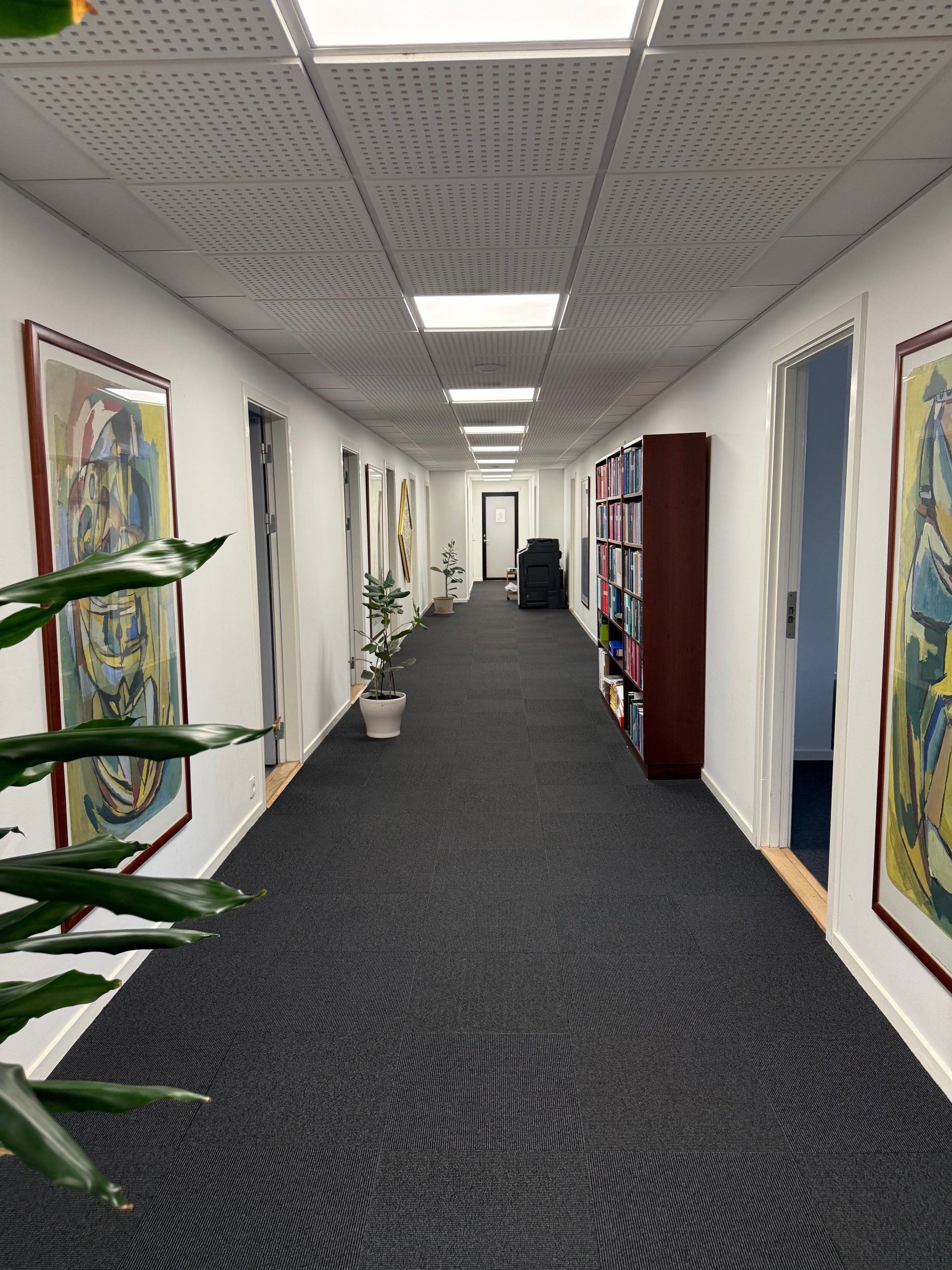 Et tomt kontor med to plantepotter og et bibliotek i bunden af gangen. Der er lyse pletter på loftet og to malerier på væggen