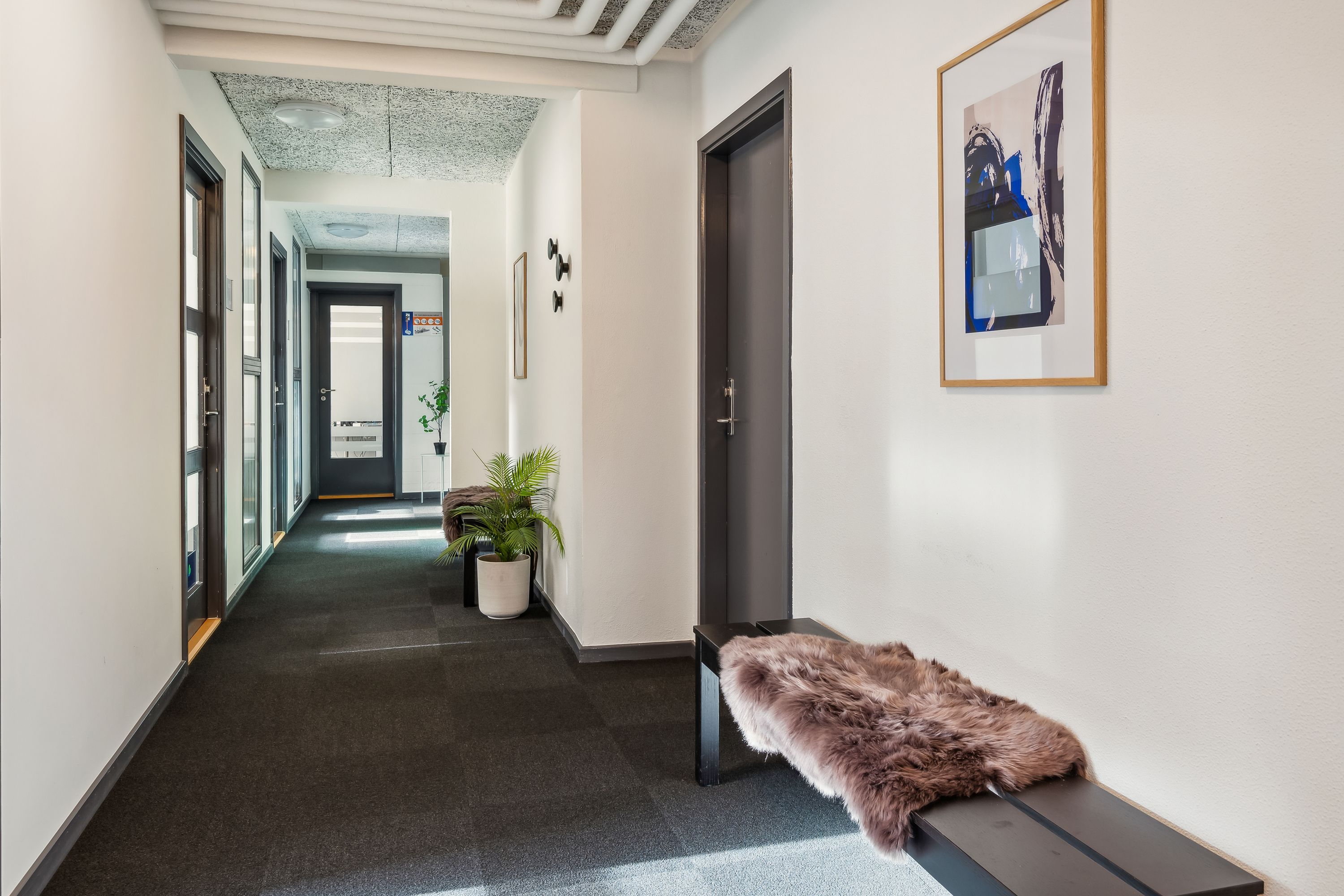 Et foto af en lyse hall med lysegult gulv og hvide vægge, hvor der er en brun pels, en stol og et maleri på væggen