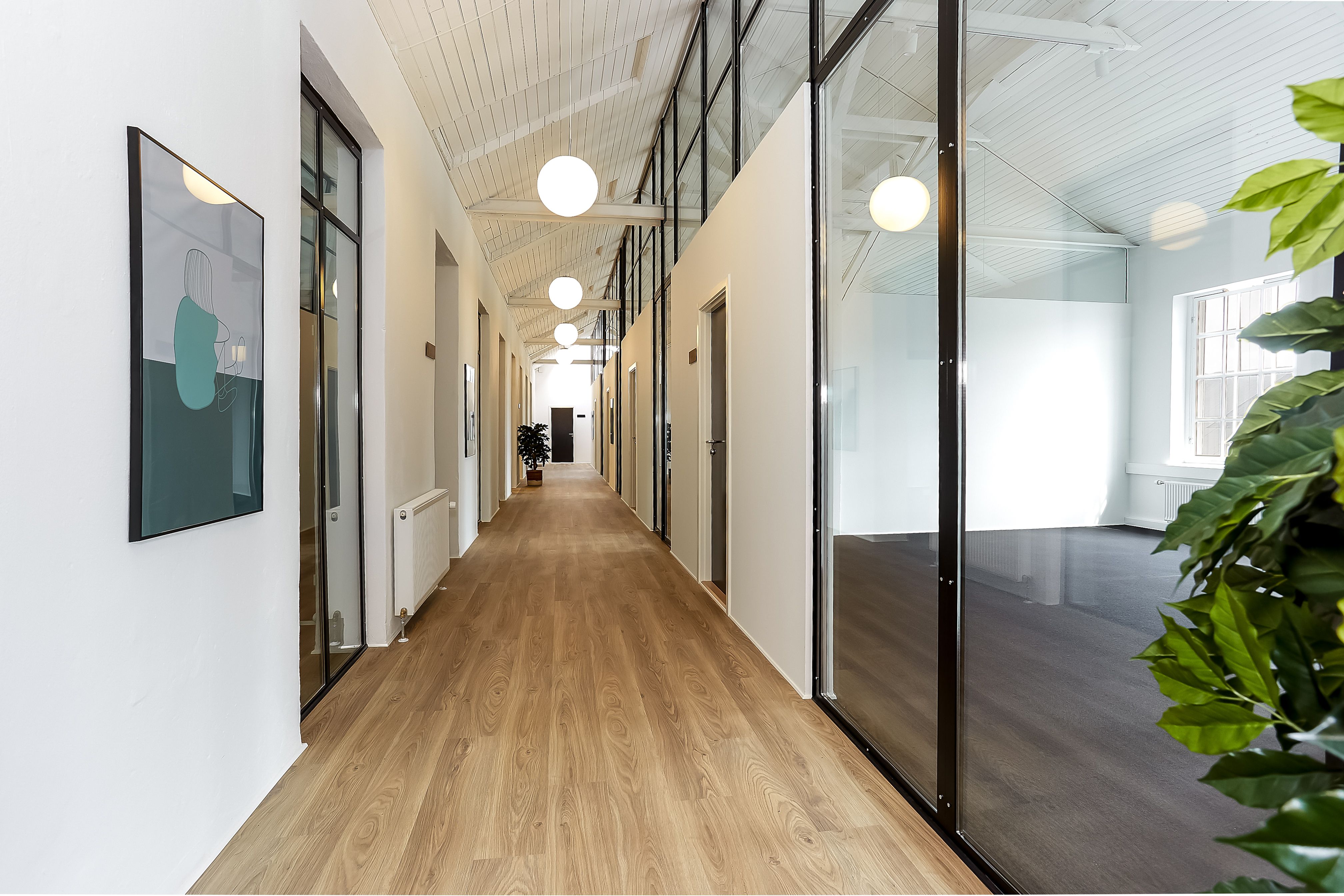 Langt og smalt korridor med lyse loftsbjælker og lyse runde loftslampe. Trægulv og hvide vægge med store glasruder og plante
