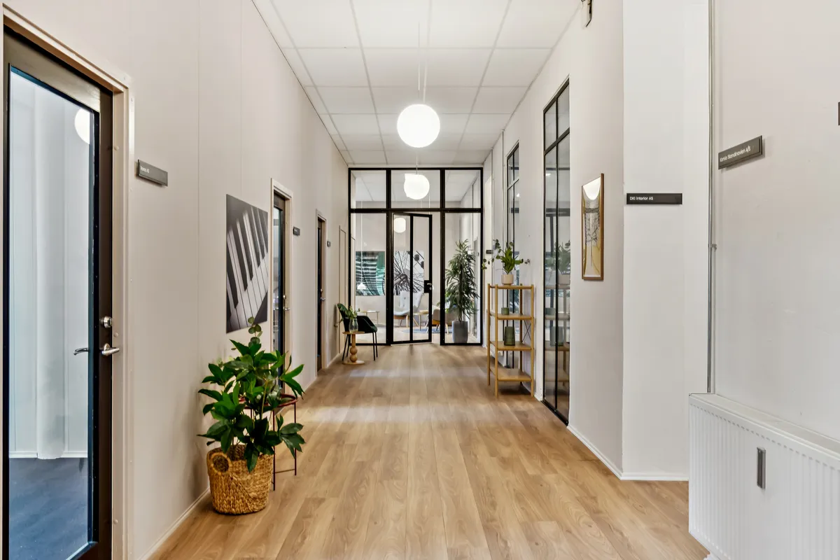 En lang og lys hall med åbne døre og glasruder, møbler og plantepotter, og lyse gulve og vægge