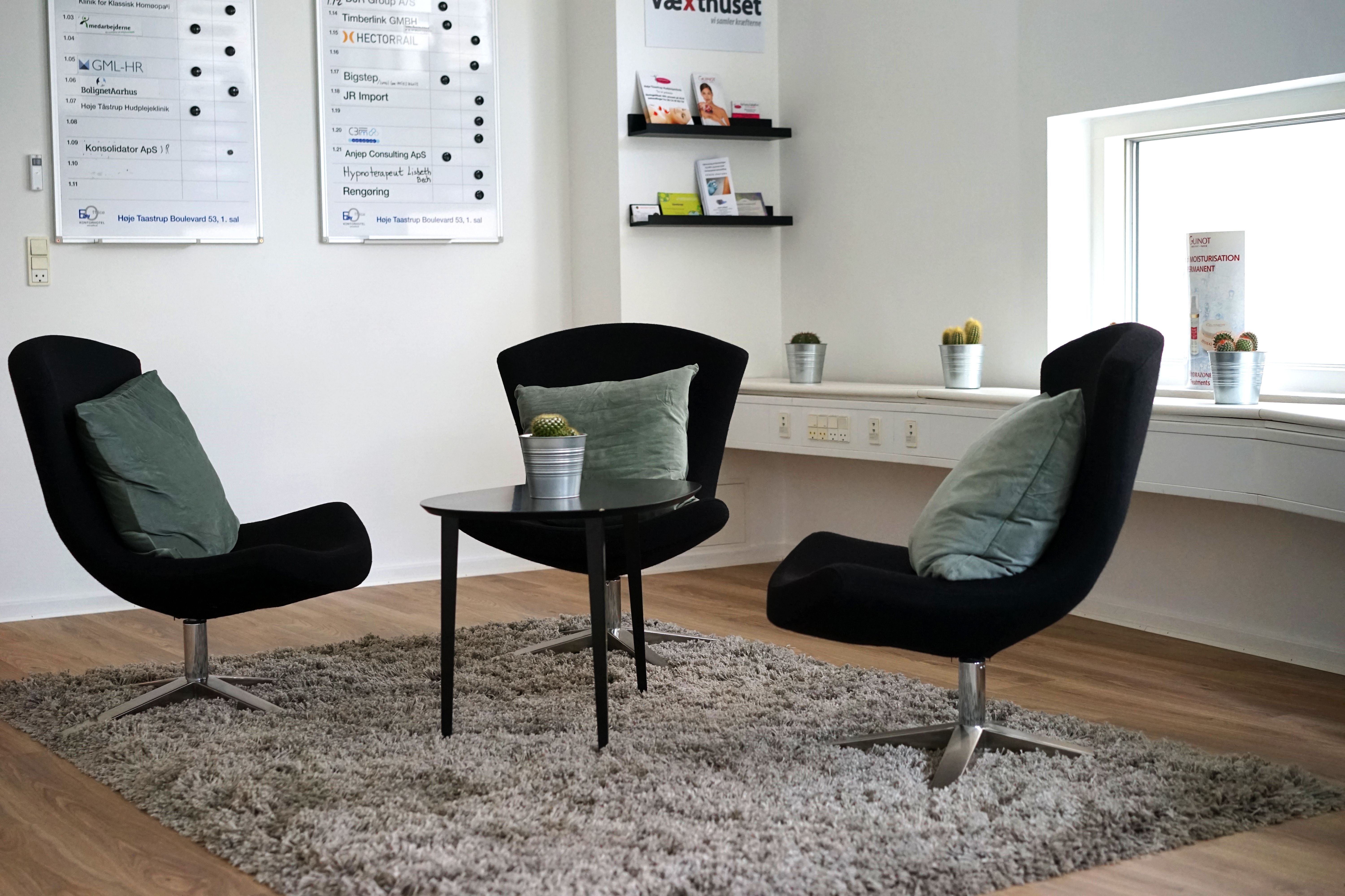 Kontorfællesskab med to sorte stole, et bord og en grå tæppe samt to små kaktusplanter i lyserøde potte på vindueskarmen