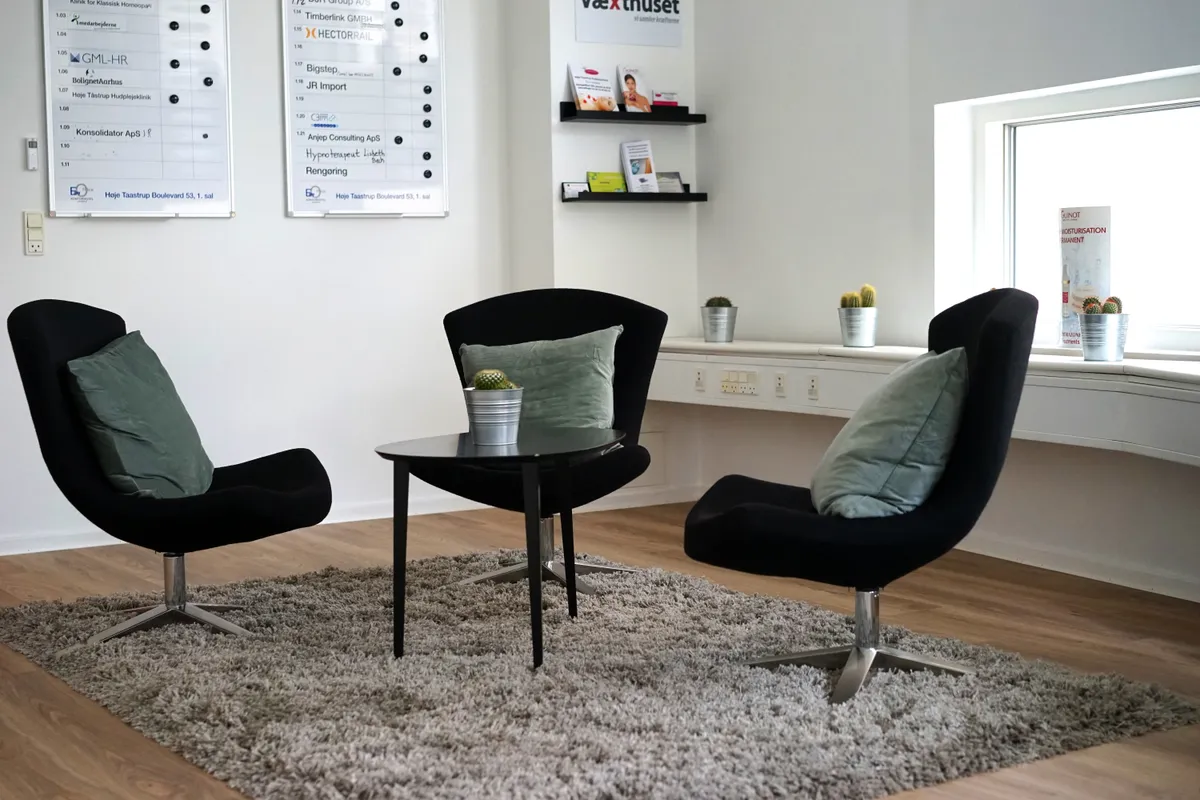 Kontorfællesskab med to sorte stole, et bord og en grå tæppe samt to små kaktusplanter i lyserøde potte på vindueskarmen