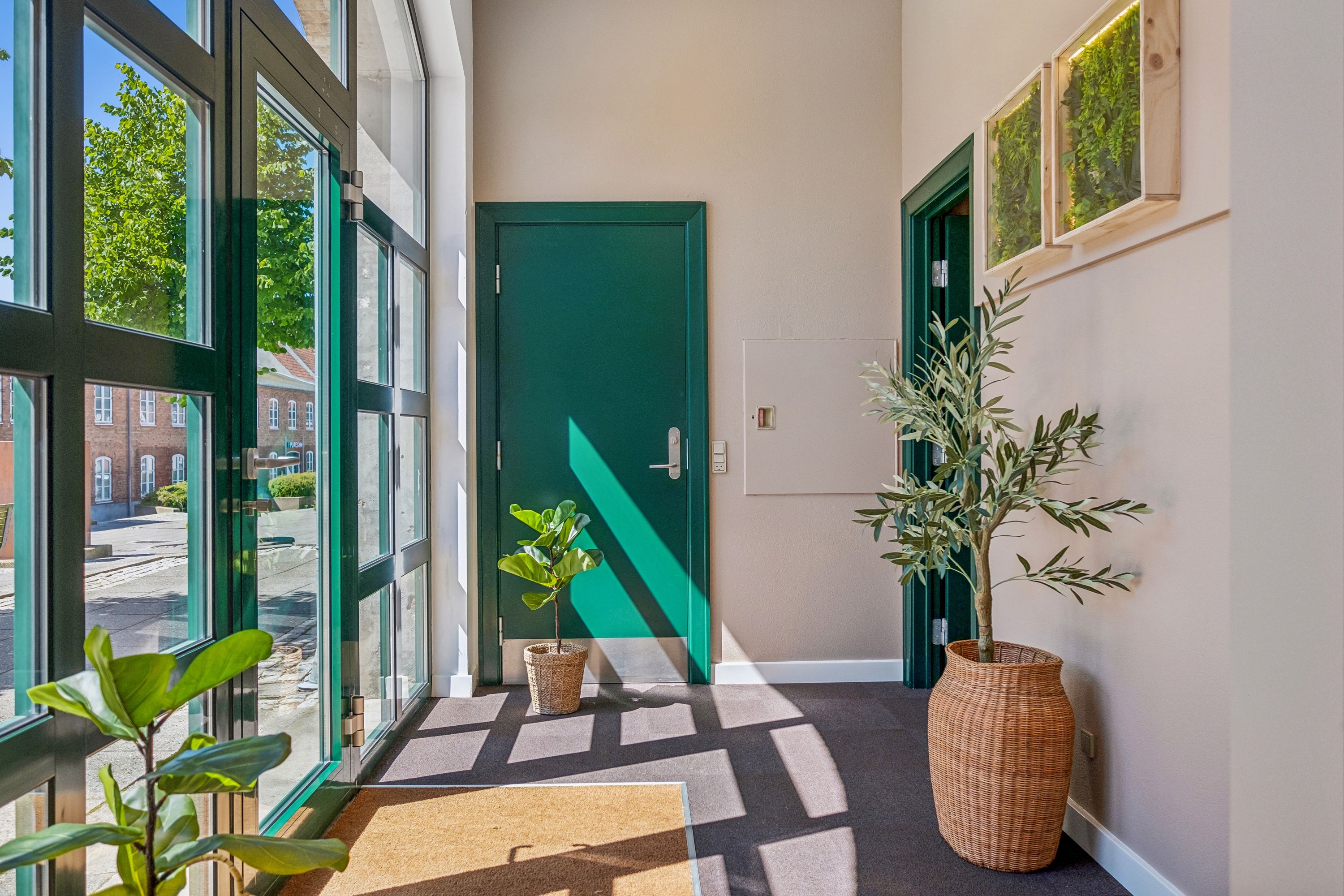 En lukket grøn dør i et moderne interiør med plantepotter og kunstværker på væggen samt en solskinstråle i rummet