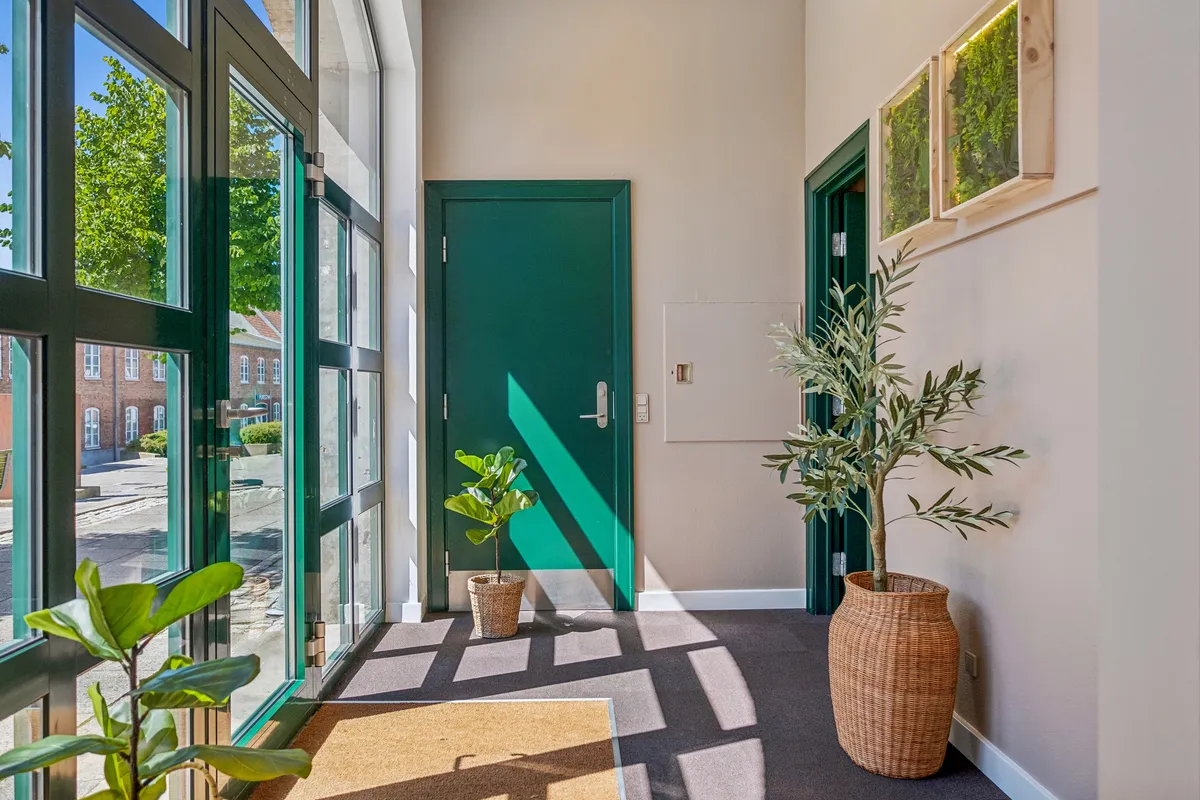 En lukket grøn dør i et moderne interiør med plantepotter og kunstværker på væggen samt en solskinstråle i rummet