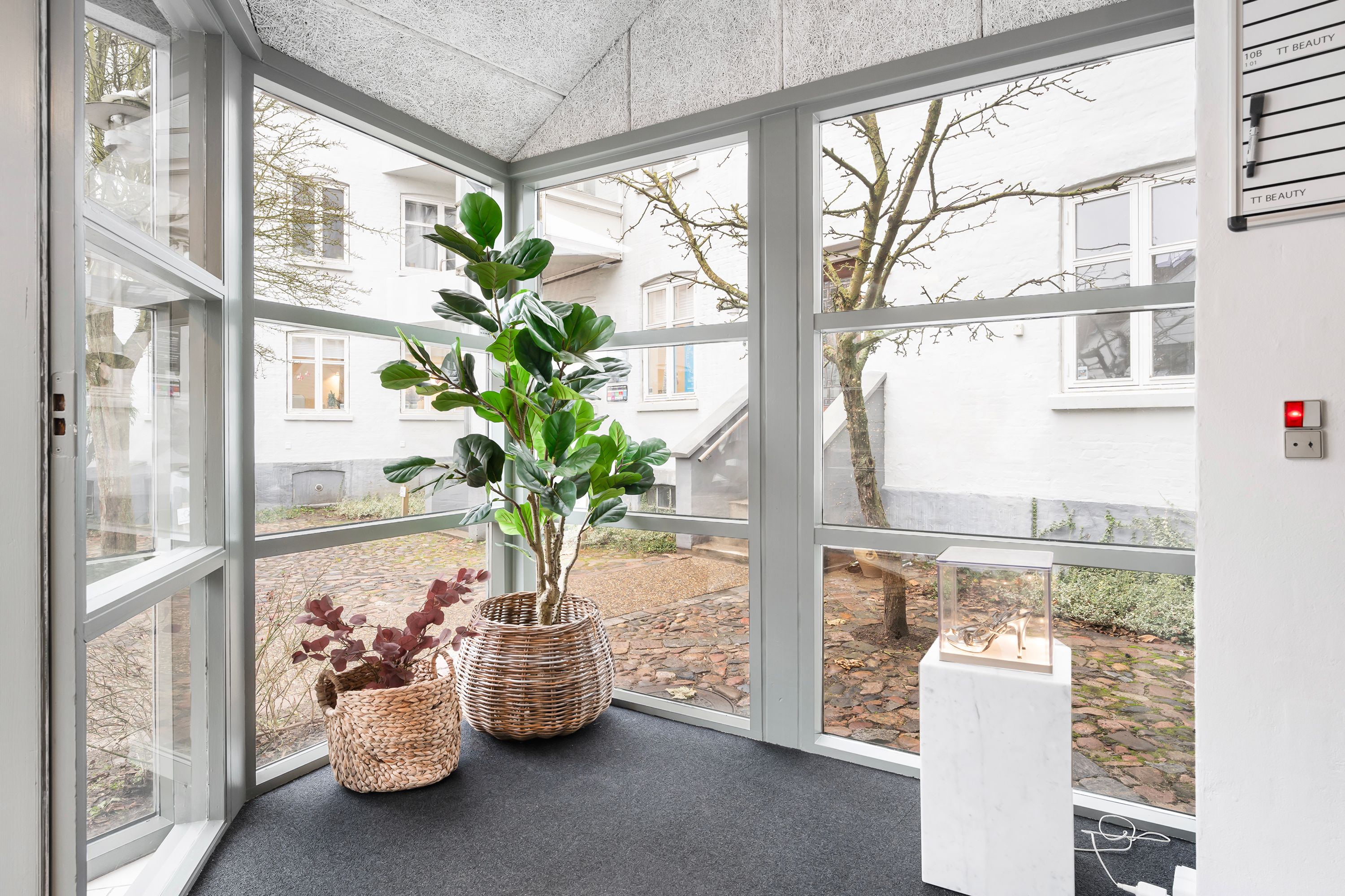 Værelse med store ruder, hvor der er et stort grønt træ i kurven og en mindre brun plante i en anden kurv samt et højhælede