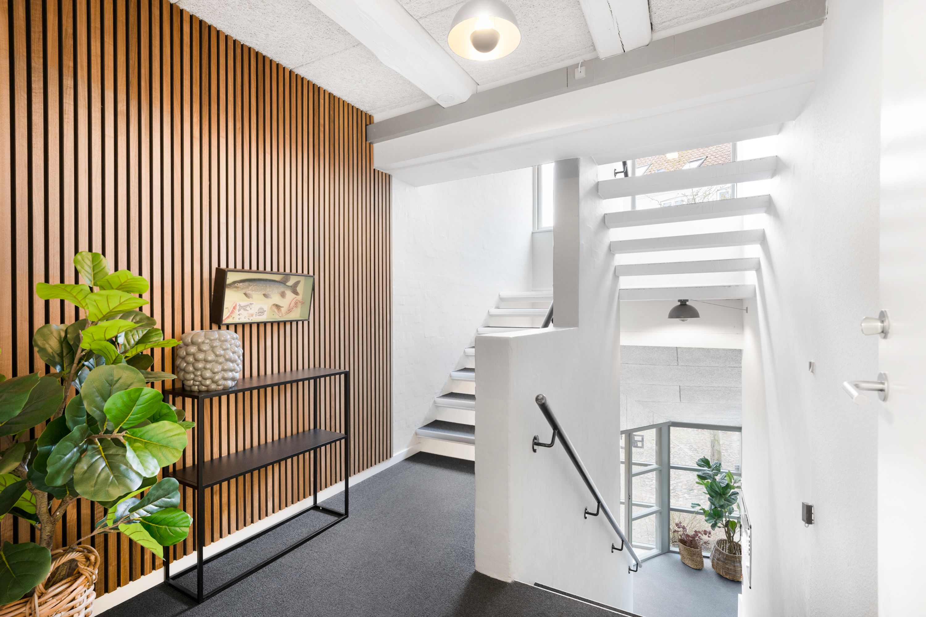 Indenfor en hvid væg og træpaneler er der et højt gulv med lysegrå tæppe og et slankt håndtag på en trappe. To planter står