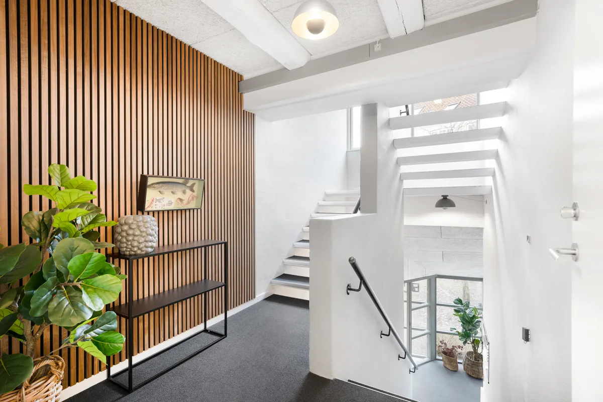 Indenfor en hvid væg og træpaneler er der et højt gulv med lysegrå tæppe og et slankt håndtag på en trappe. To planter står
