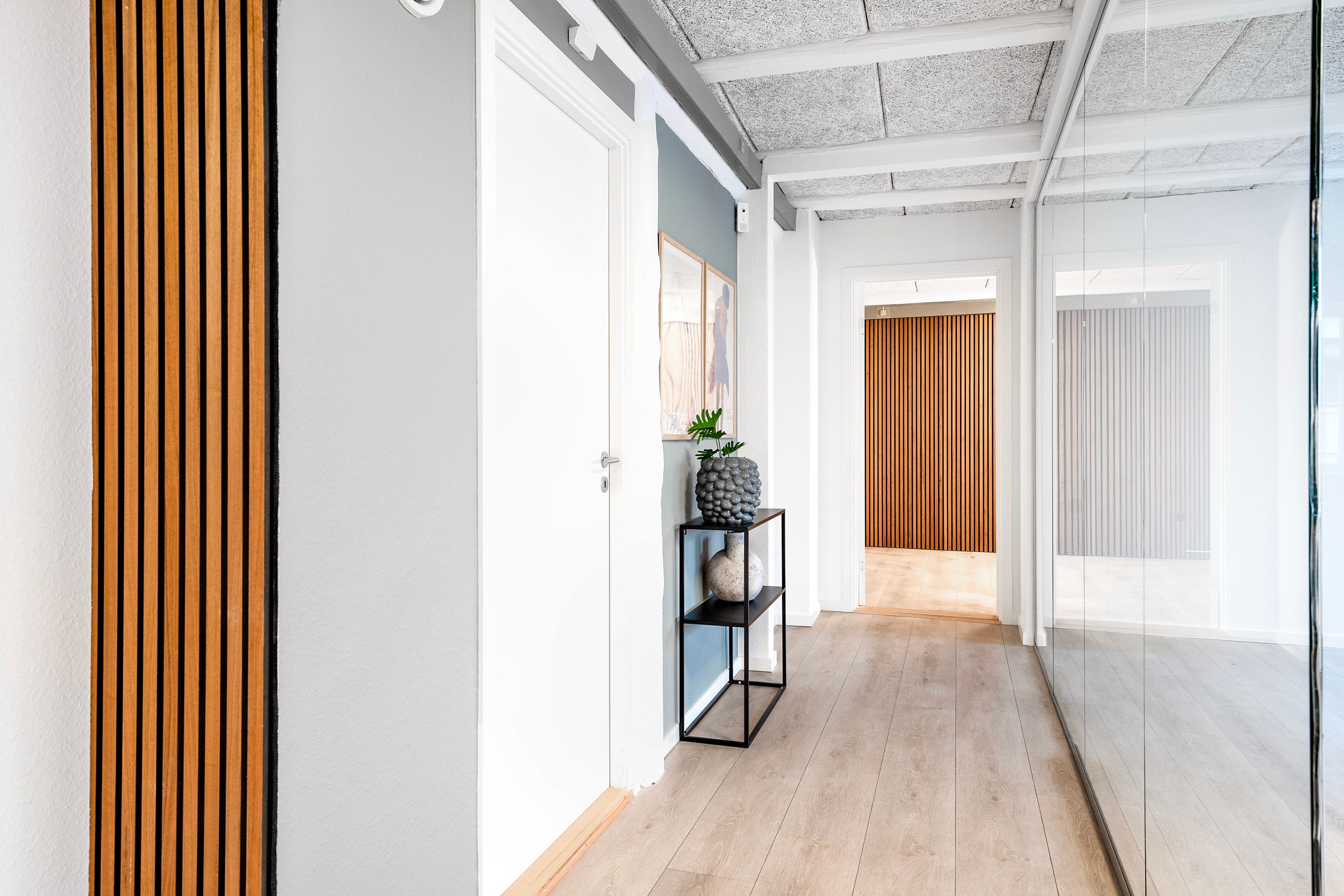 En moderne korridor med hvidt loft og gulv samt lyse glasvægge og træindslag. Et gulvtæppe og en plante på hylden.