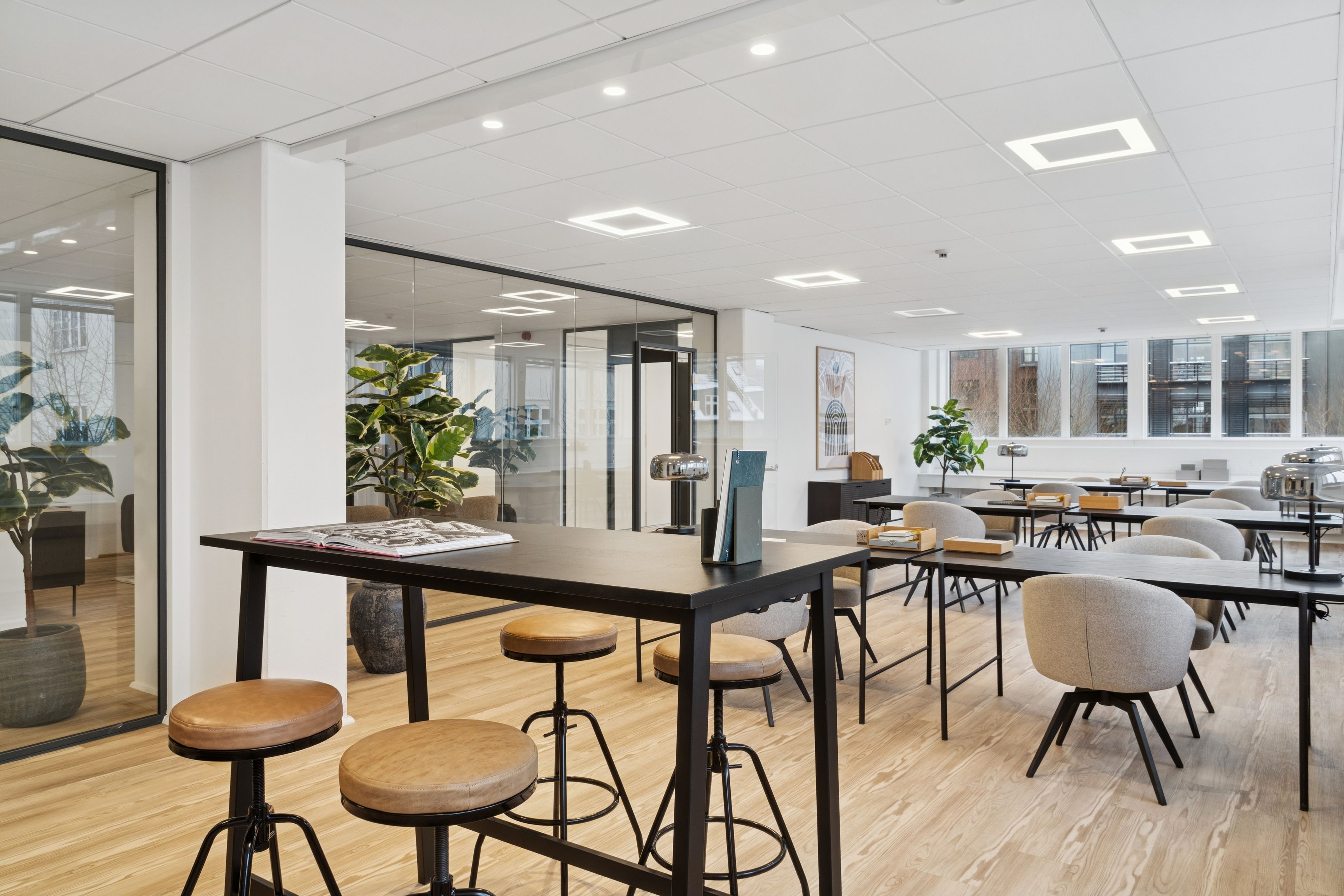 Kontor til leje med moderne design og møbler, gulve med træfinish og glasvinduer. Bord med læsestof og en plante i potte. Bordstole med læder sadler og en stor plante i en potte.