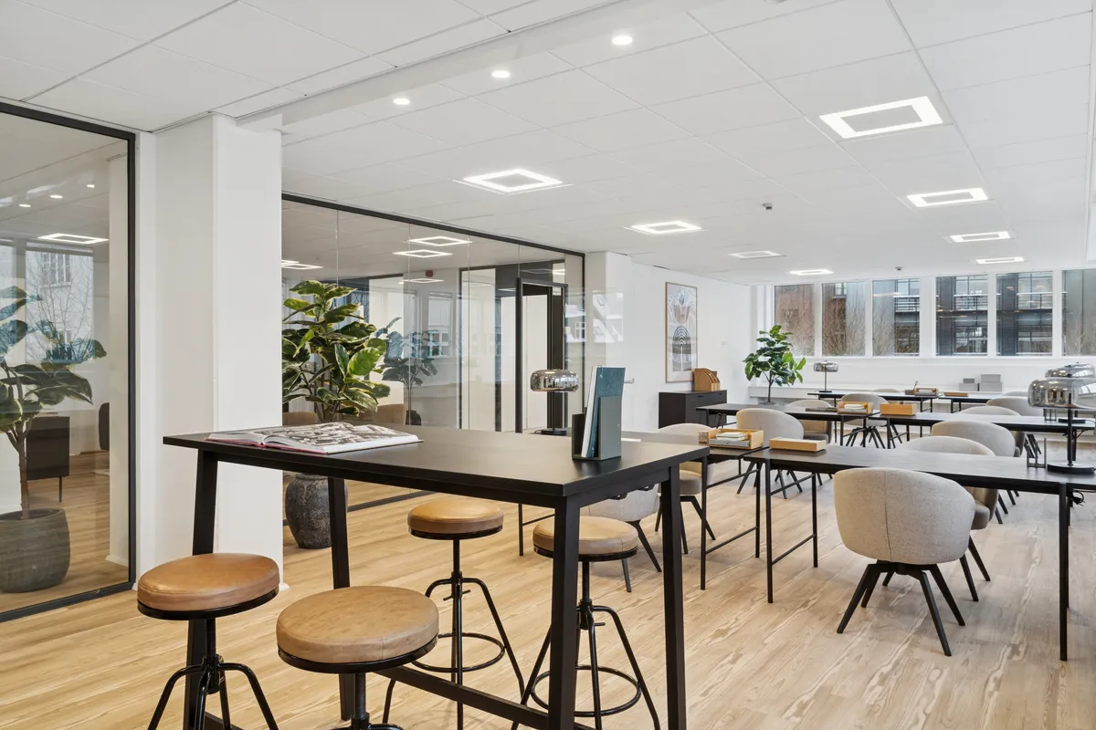 Kontor til leje med moderne design og møbler, gulve med træfinish og glasvinduer. Bord med læsestof og en plante i potte. Bordstole med læder sadler og en stor plante i en potte.