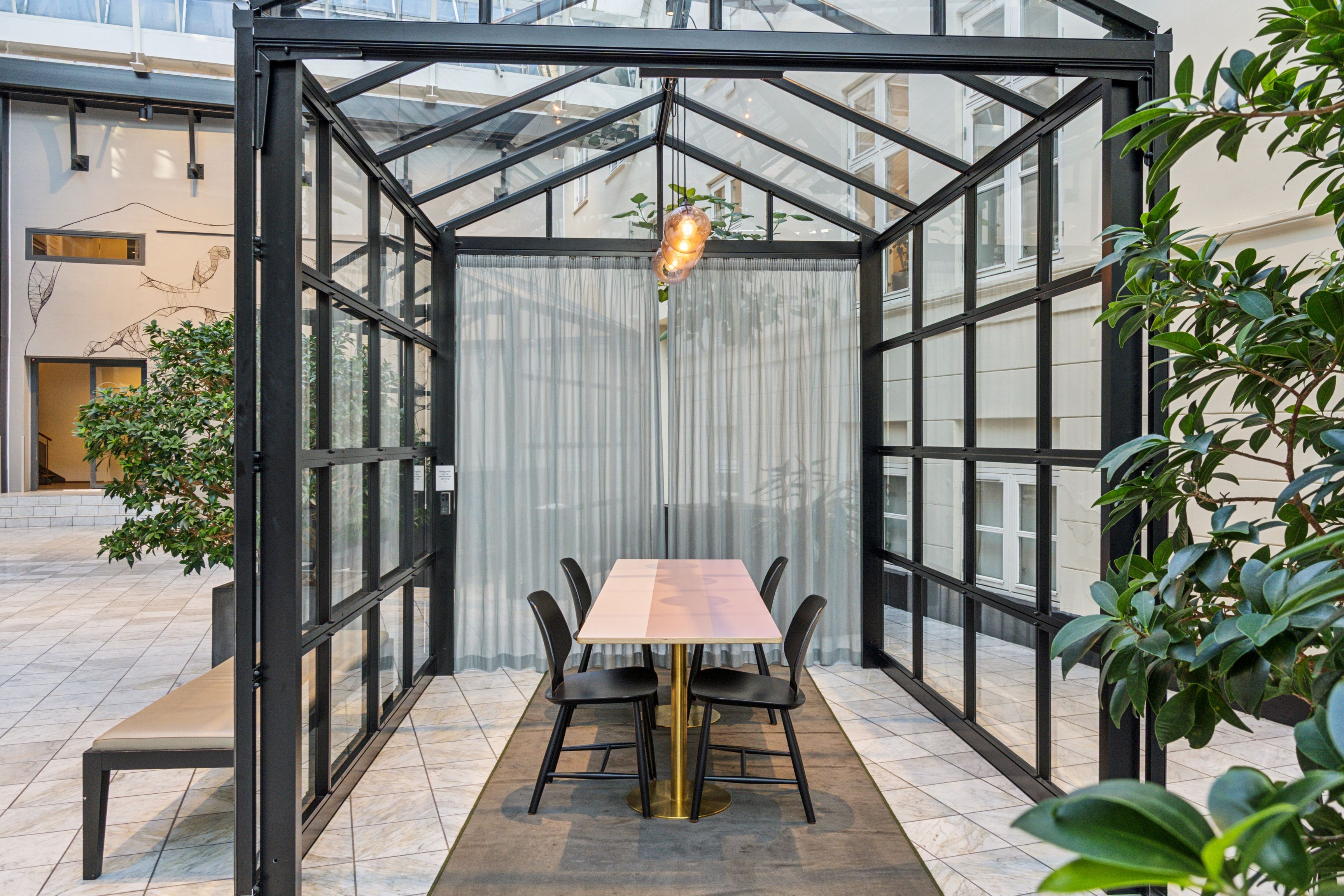 Kontor med glasvægge og plante. En grøn plante, en stol, en bord og fire stole er placeret i et glasrum. En lysekron hænger fra loftet. Et tæppe er udlagt på gulvet