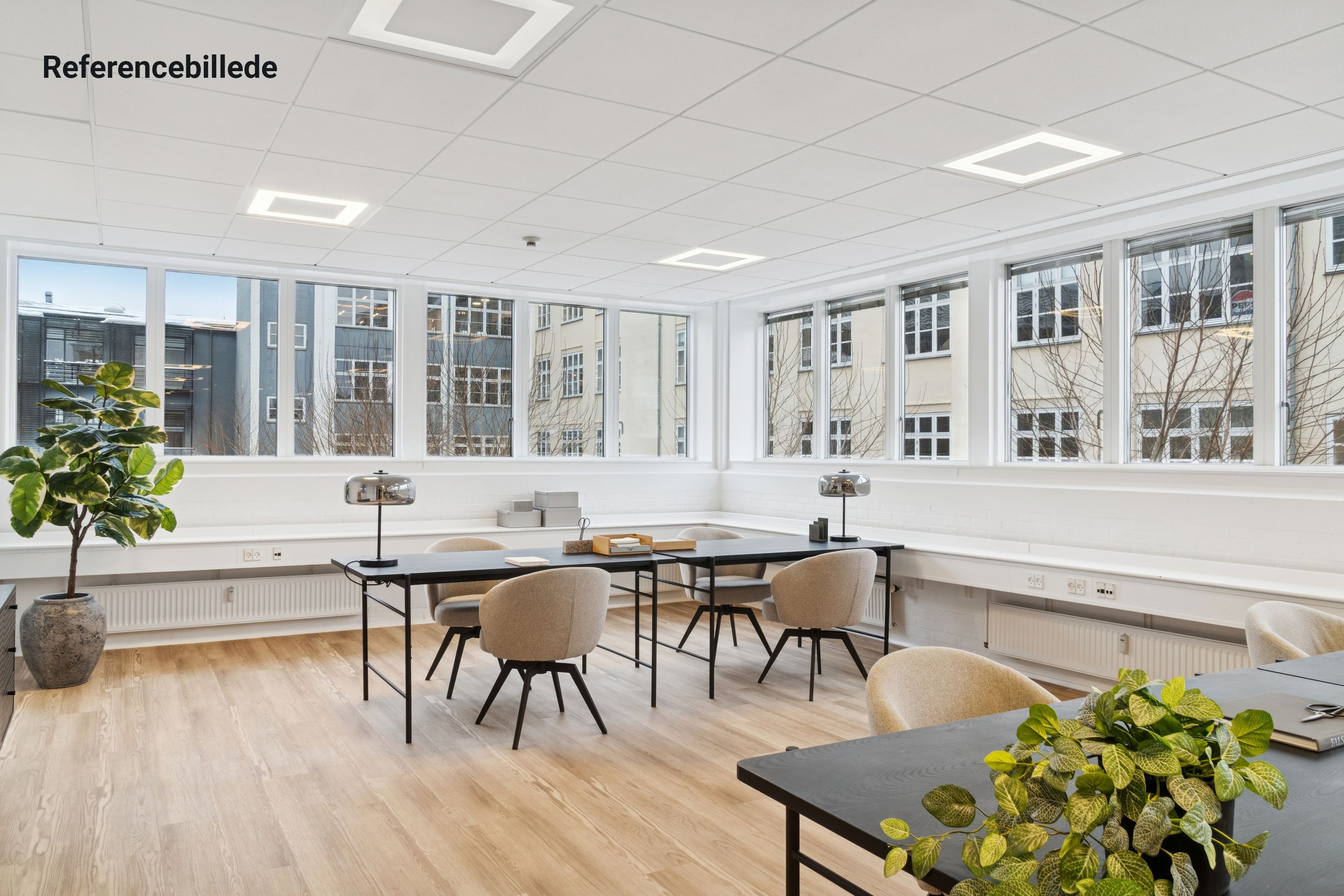 Moderne kontor med højloft, møbler og vinduer, lyseramme, to store borde, plante og skrifttegne.