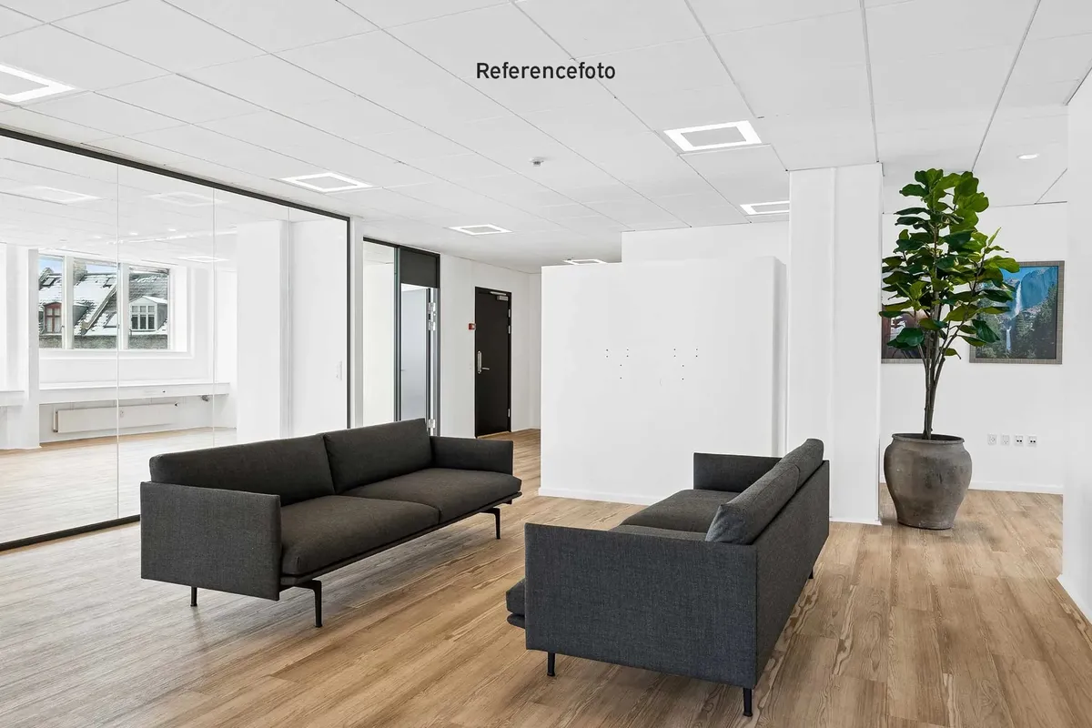 Moderne kontor med højt loft og lysegulve, hvor to grå sofaer og en stor plante i en jordfarvet potte dominerer rummet