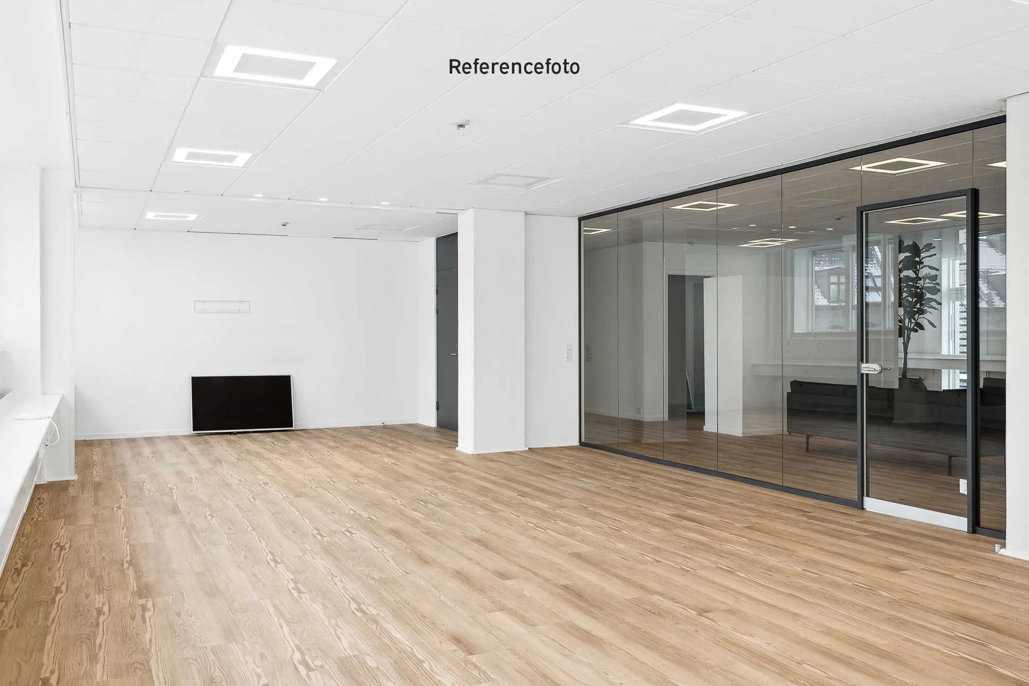 Moderne kontor med lyse trægulve, hvide vægge og store glasruder og døre med mørke rammer