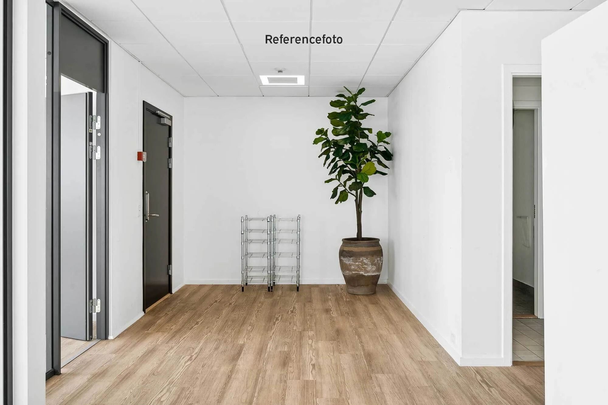 En tom gang med lyse trægulve, to døre, et plantekar og et hvidt loft. Der er en tekst "Referencefoto" på billedet