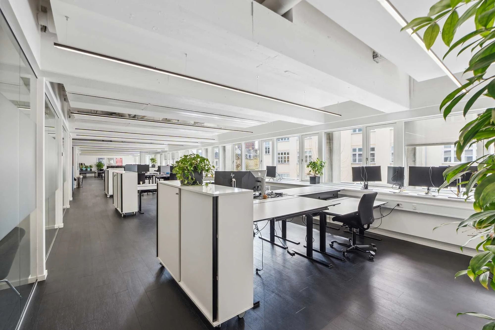 Et moderne kontor med lyse hvide vægge og gulve med høje vinduer og computere samt grønne planter på hjørneborde
