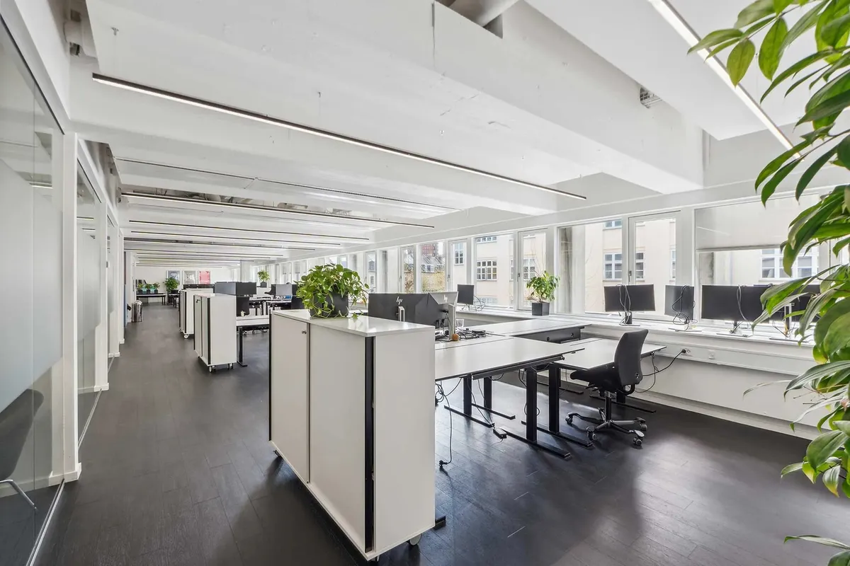 Et moderne kontor med lyse hvide vægge og gulve med høje vinduer og computere samt grønne planter på hjørneborde