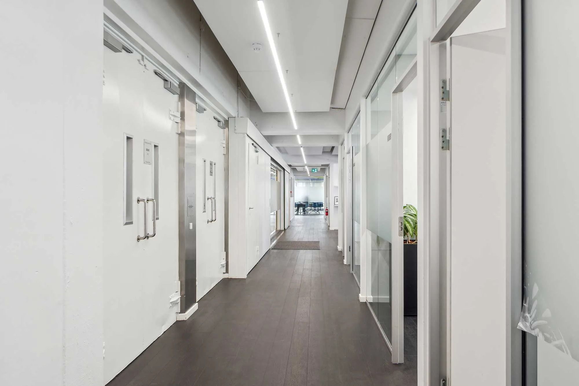 Modernt kontor med hvide vægge, lyse gulve, glasdøre, håndtag og plante i kant. Lyser og tavle med navnet B!NGS.