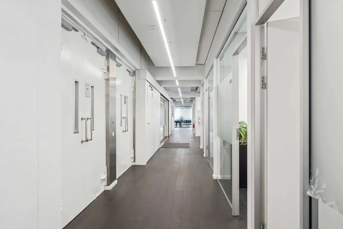 Modernt kontor med hvide vægge, lyse gulve, glasdøre, håndtag og plante i kant. Lyser og tavle med navnet B!NGS.