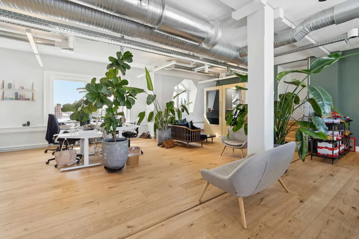 Kontorrum med højloft, moderne møbler og store planter, masser af naturligt lys og trægulve.