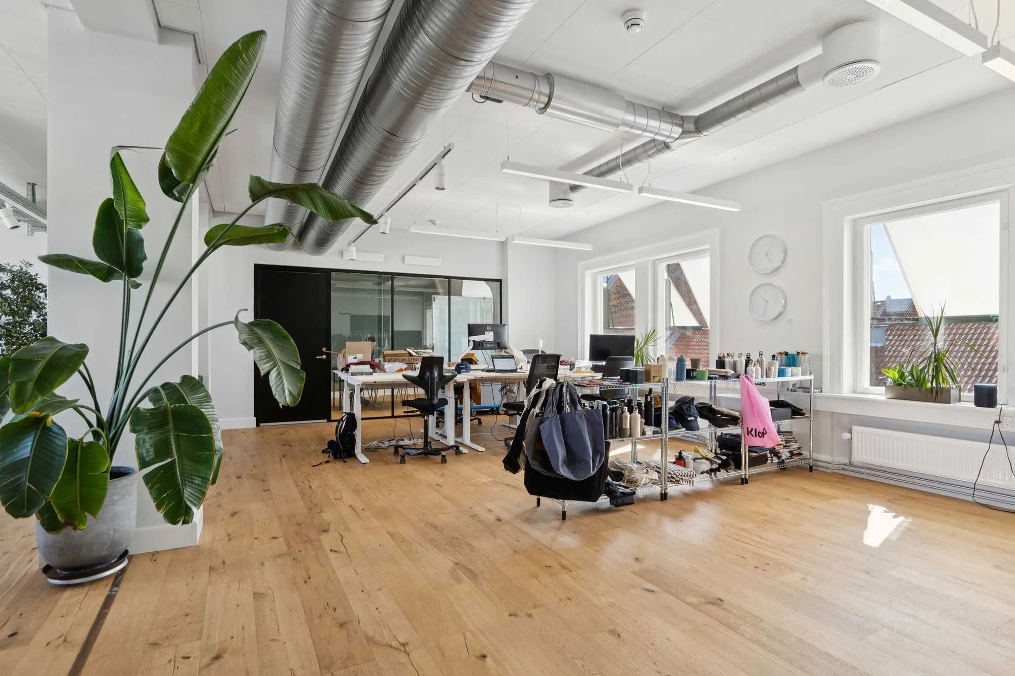 Moderne kontor med lyse lofter, hvide vægge og trægulve samt store vinduer med udsigt til gaden og en have med planter