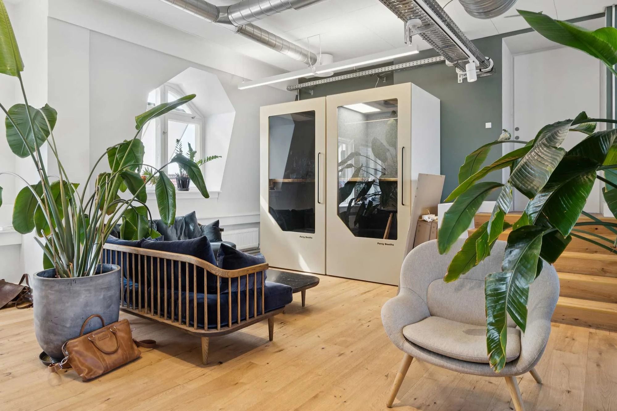 En interiør med lyse, lysegule vægge, trægulve, en stor sofa med blå puder og et lædertaske. En stor grøn plante og en