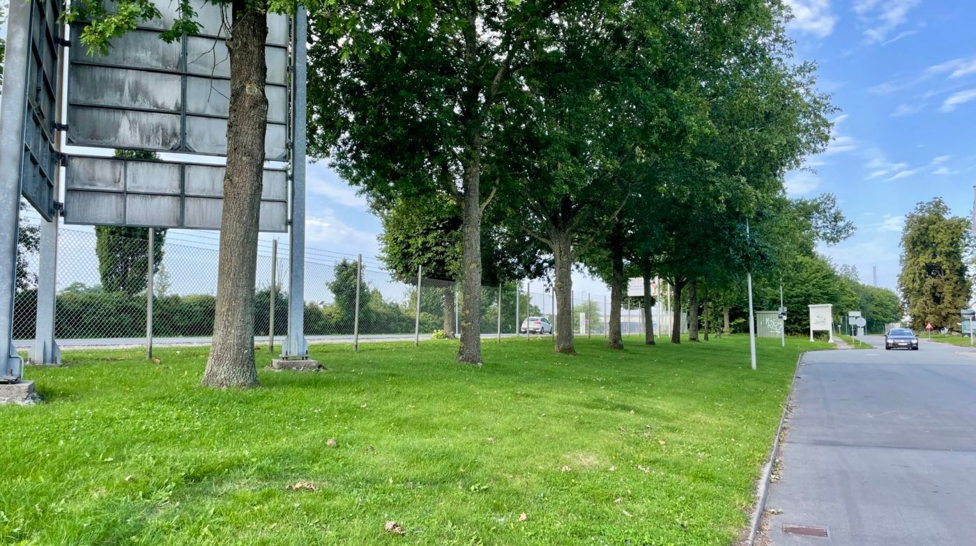 En vejkant med grønne træer og en bil på vejen med en gul og rødt skilt