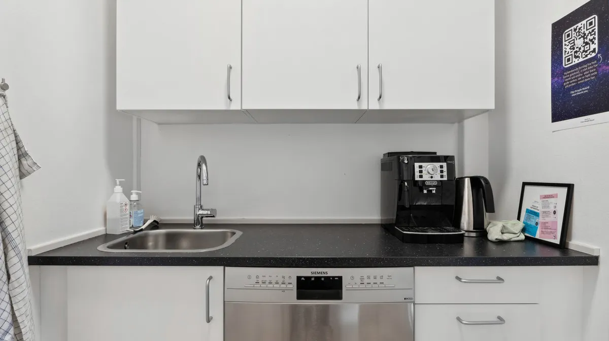 En moderne køkken med en hvid skralvask og sort bordplade, en kaffemaskine, en sølv farvet opvaskemaskine og et tæppe