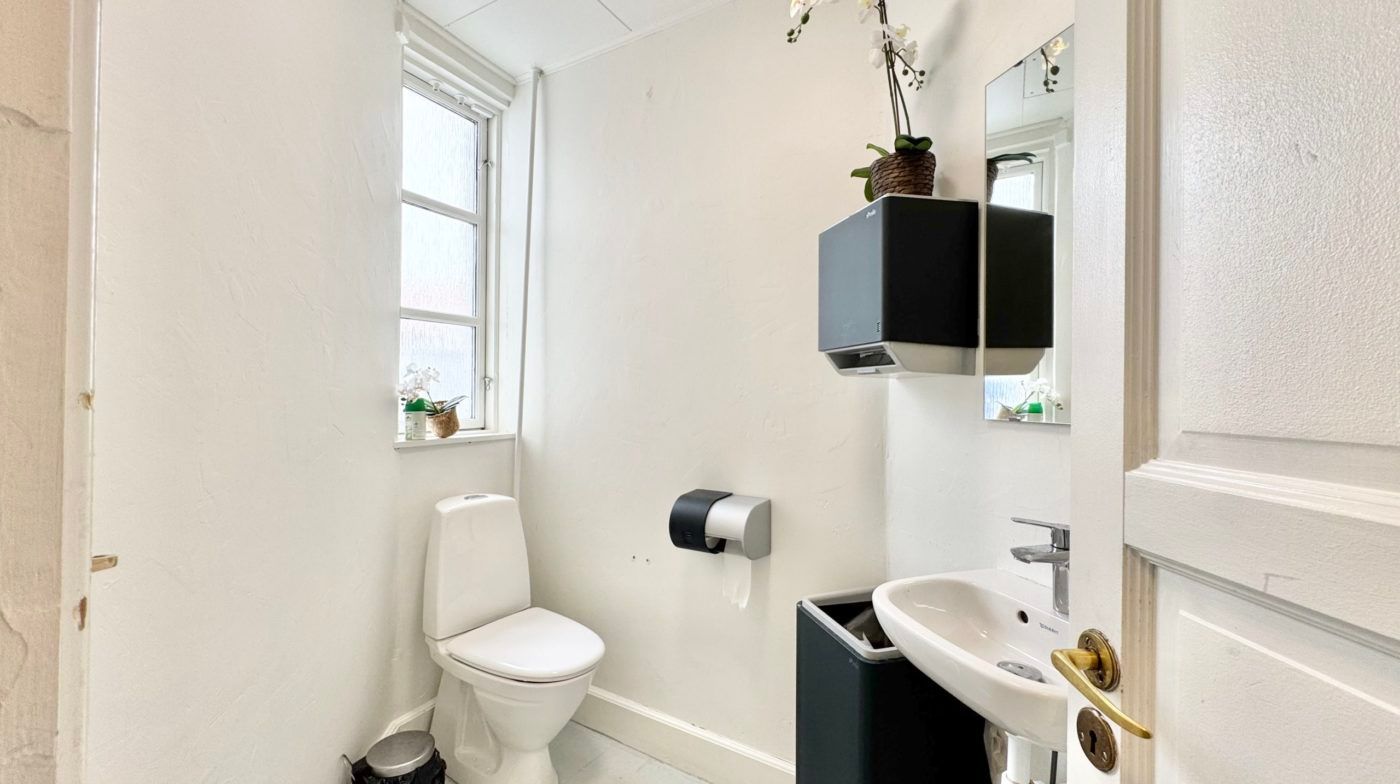 Et lille, rent og moderne badeværelse med en toilet, en hvid vask og en spejl. Et blomsterpotte er placeret på vindueskarmen
