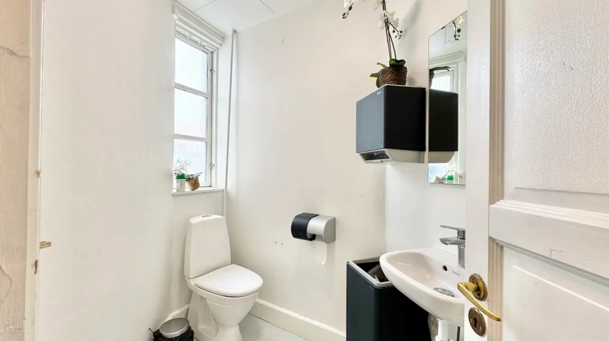 Et lille, rent og moderne badeværelse med en toilet, en hvid vask og en spejl. Et blomsterpotte er placeret på vindueskarmen