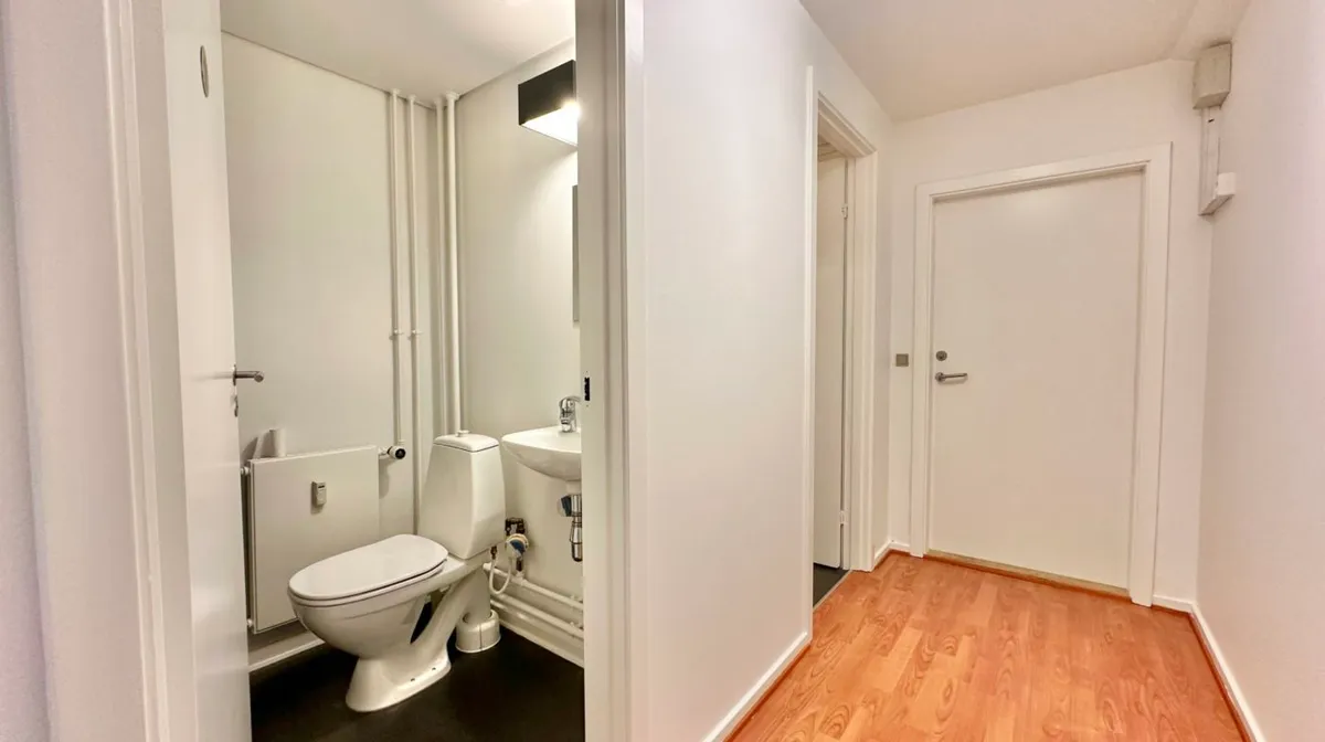 En moderne toiletafdeling med hvidt toilet, hvid vask, og hvide vægge samt trægulv og et indbygget lys.