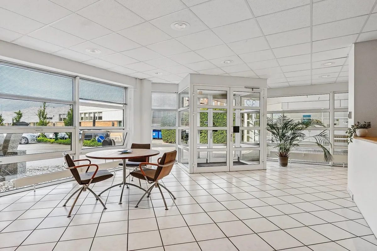 Kontor med moderne møbler og plante, hvide vægge og gulv samt store glasruder med udsigt til parkeringsplads og bygninger