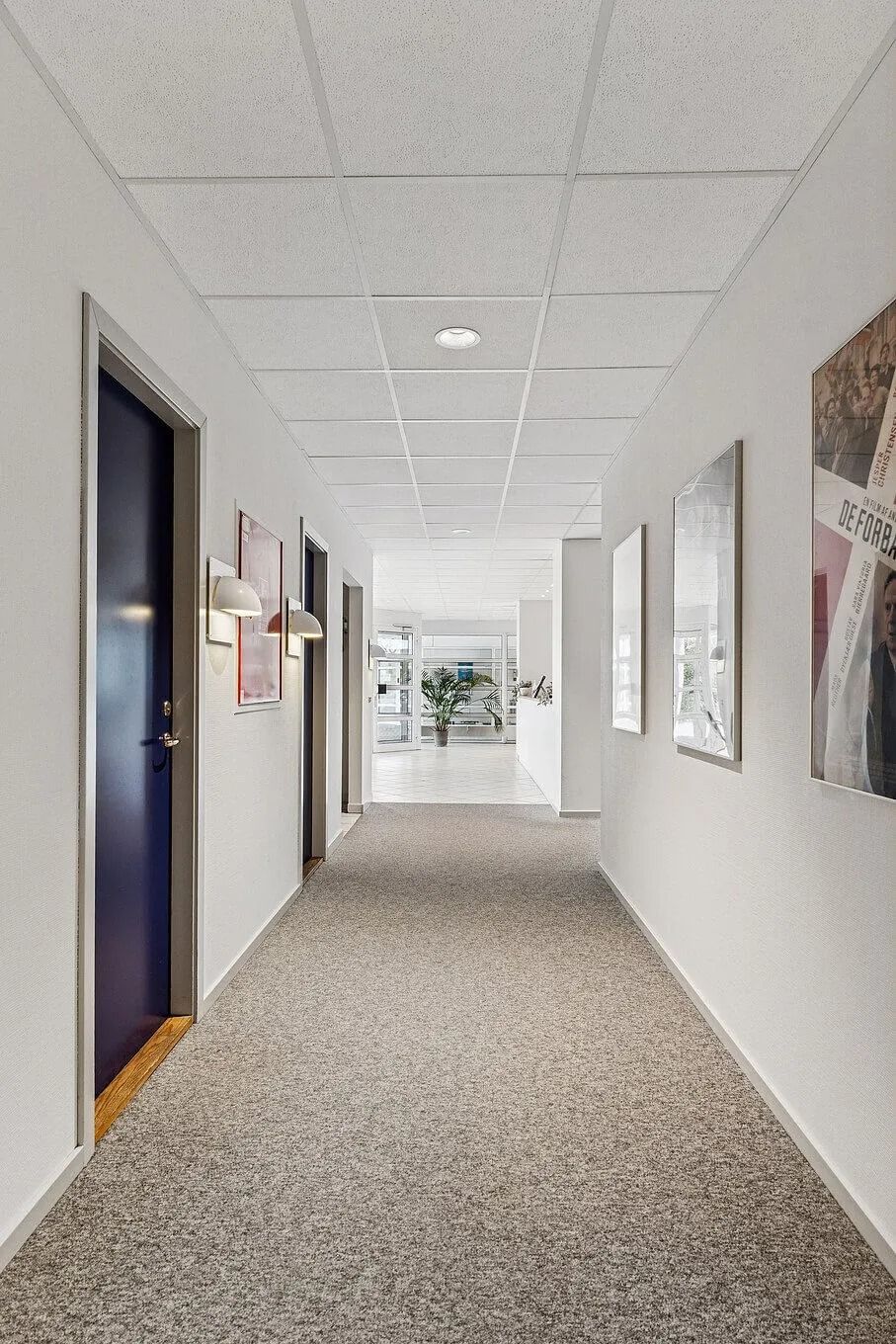 Kort og lyst korridor med vægmalerier og plante i det fjerne samt døre og lysekroner