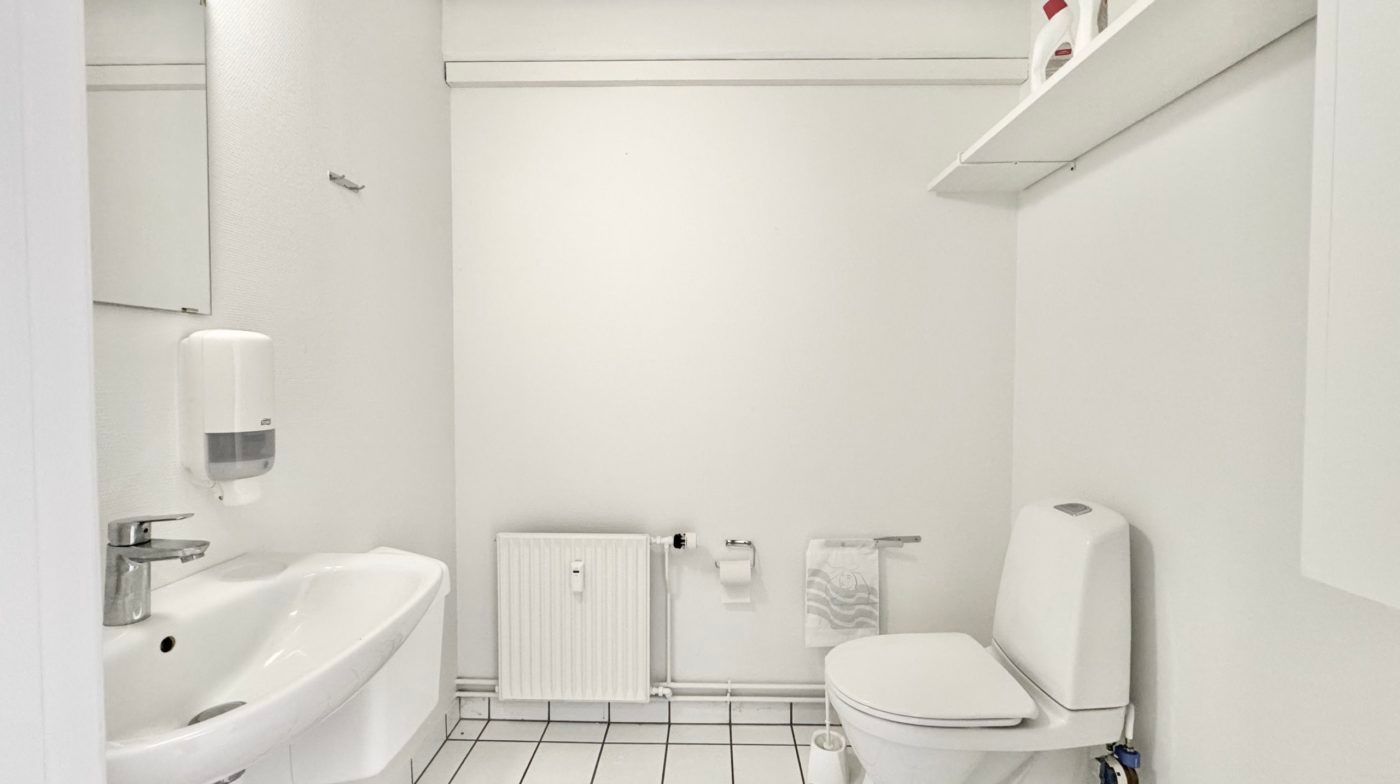Hvidt badeværelse med håndvask, håndsæbe, toilet, toiletpapir, radiator og spejl. Rent og moderne interiør med hvide vægge